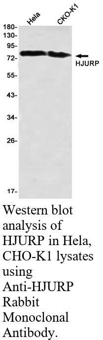 生物相关数据