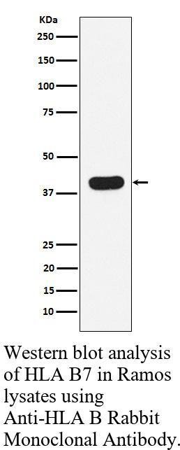 生物相关数据