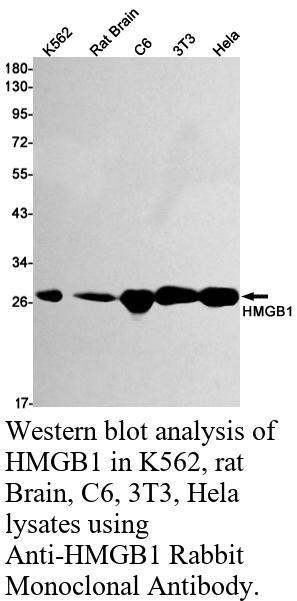 生物相关数据