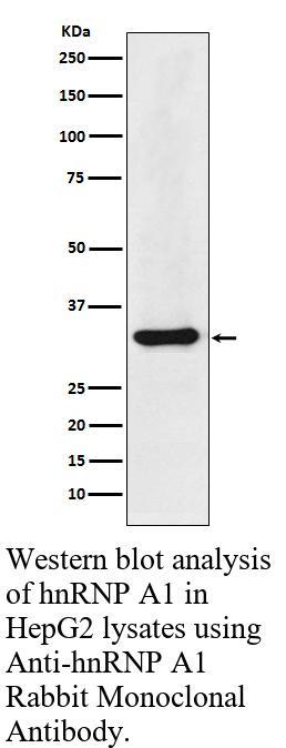 生物相关数据