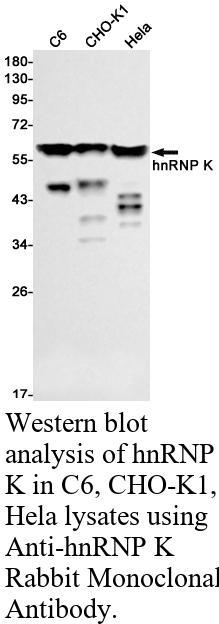 生物相关数据