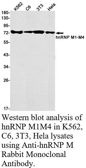 生物相关数据