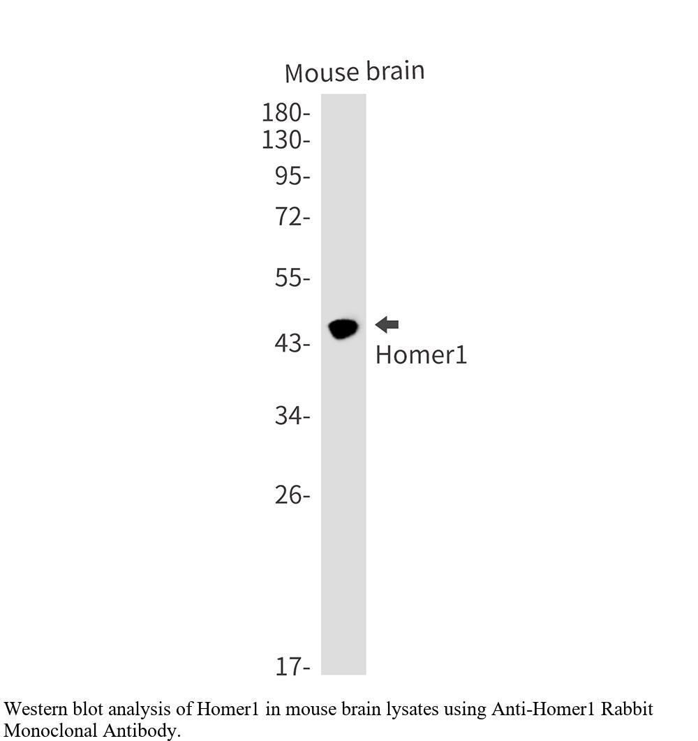 生物相关数据