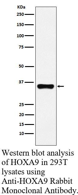 生物相关数据