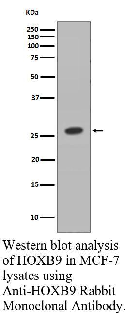 生物相关数据