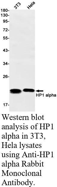 生物相关数据