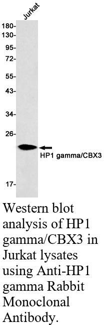 生物相关数据