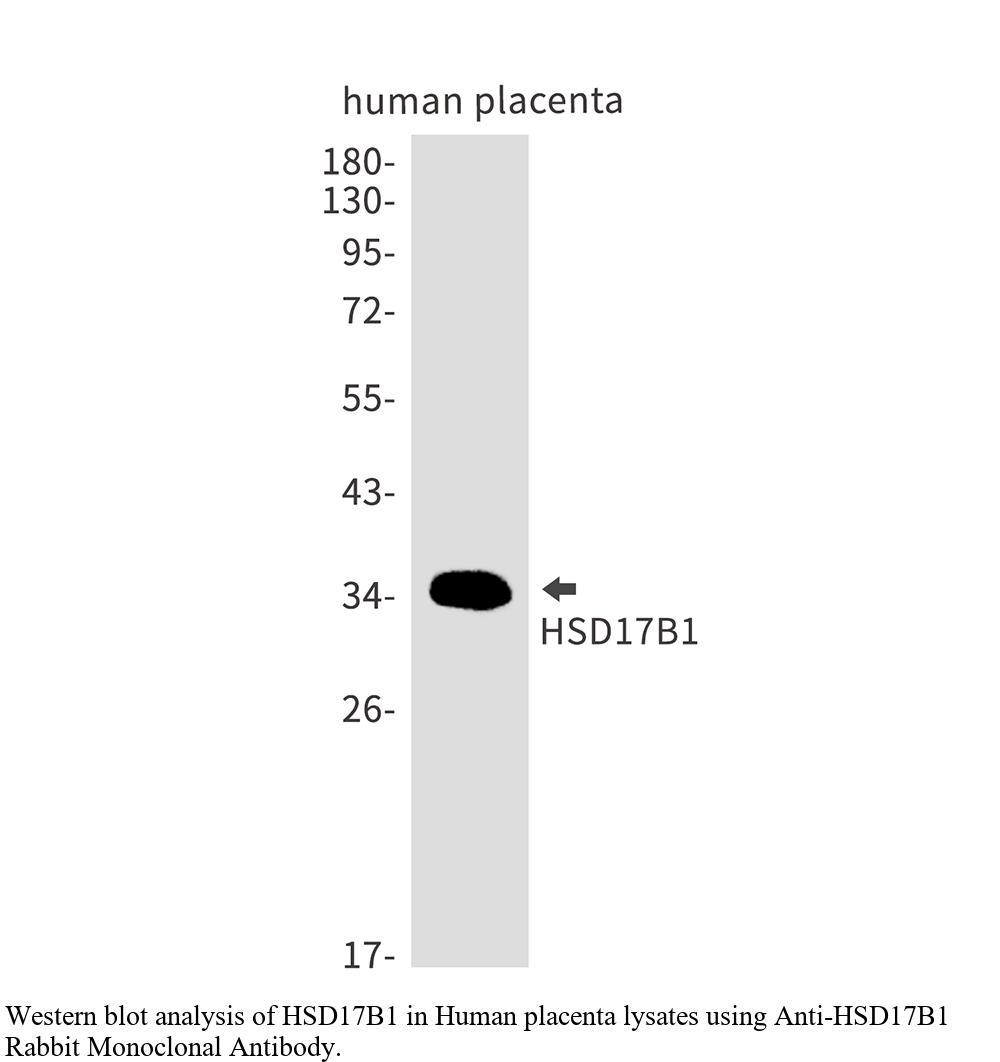 生物相关数据