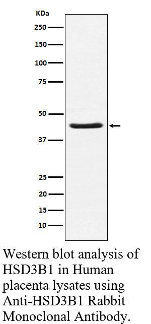 生物相关数据