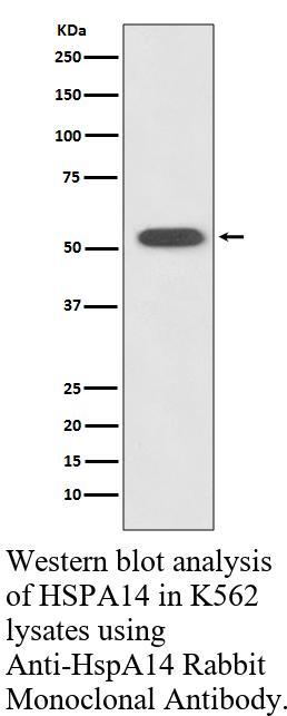 生物相关数据