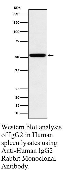 生物相关数据