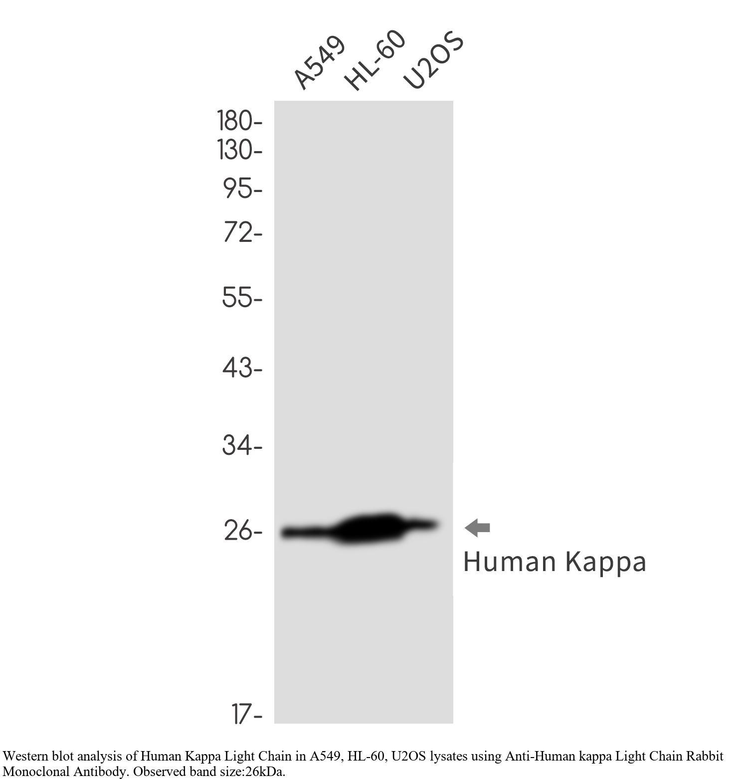 生物相关数据