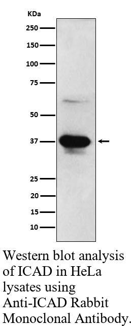 生物相关数据