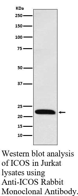 生物相关数据
