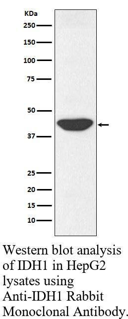 生物相关数据