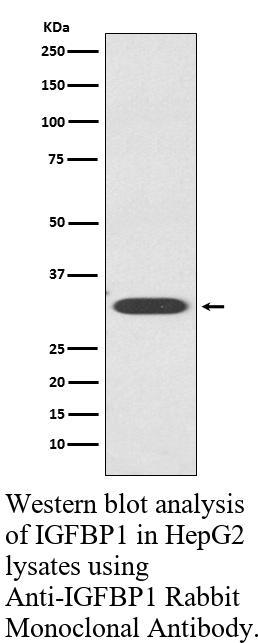生物相关数据