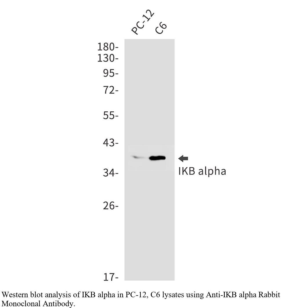 生物相关数据