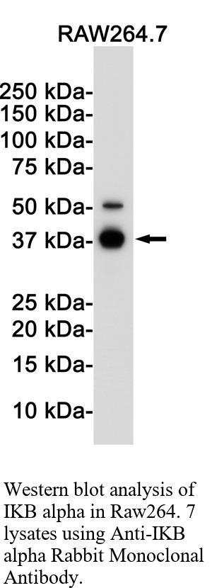 生物相关数据
