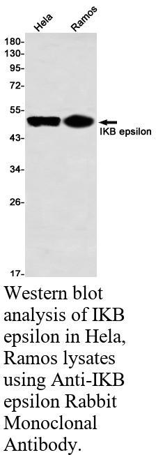 生物相关数据
