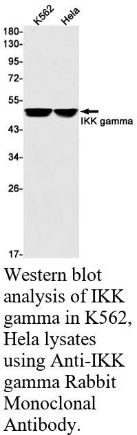 生物相关数据