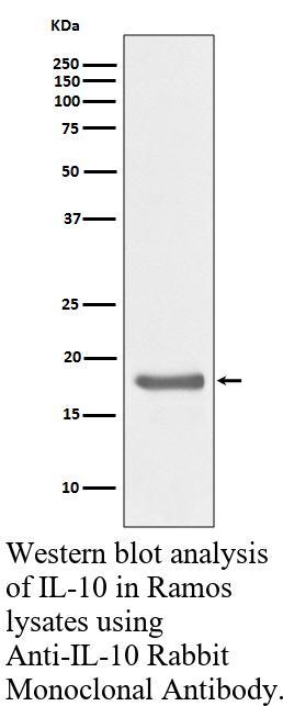 生物相关数据