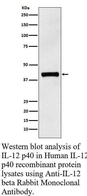 生物相关数据