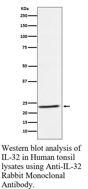 生物相关数据