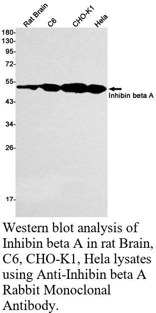 生物相关数据