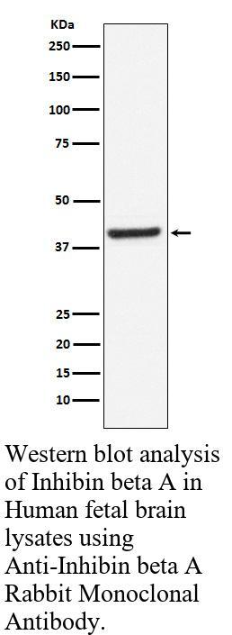 生物相关数据