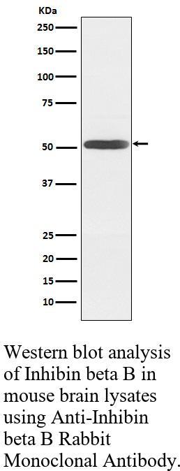 生物相关数据