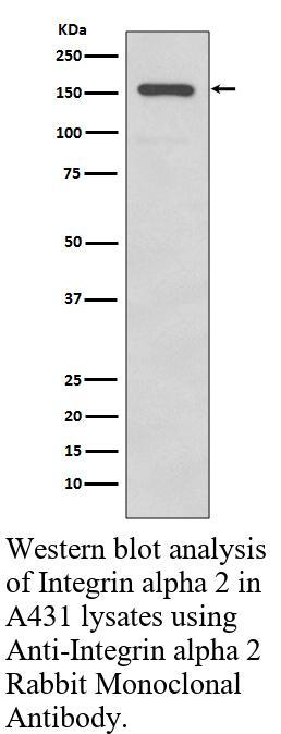 生物相关数据