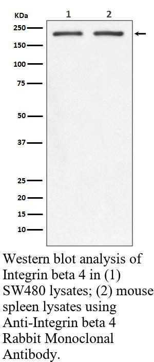 生物相关数据