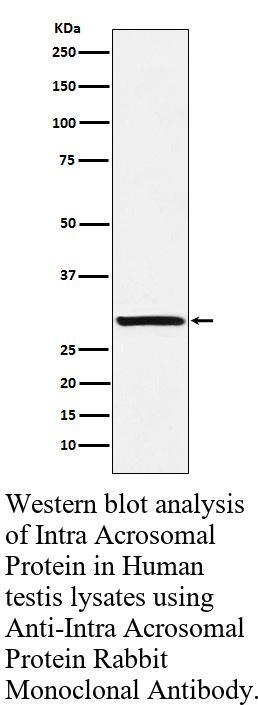生物相关数据