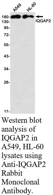 生物相关数据
