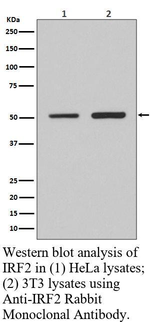 生物相关数据