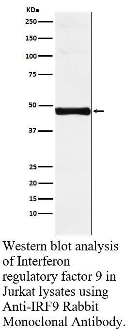 生物相关数据