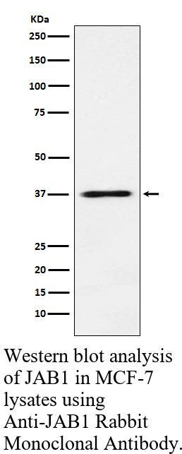 生物相关数据