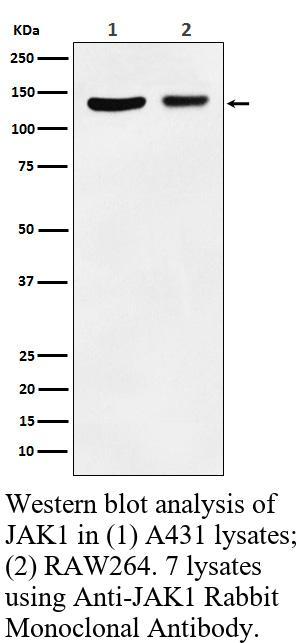 生物相关数据