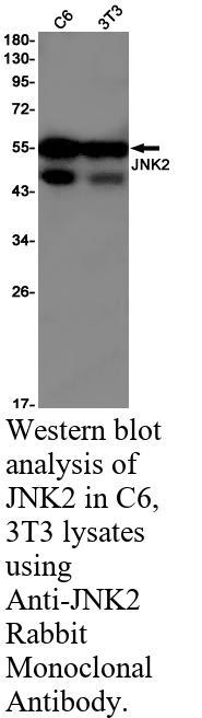 生物相关数据