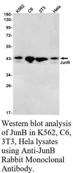 生物相关数据
