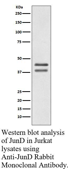 生物相关数据