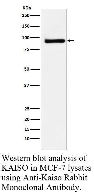 生物相关数据