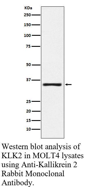 生物相关数据