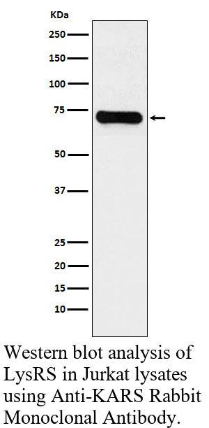 生物相关数据