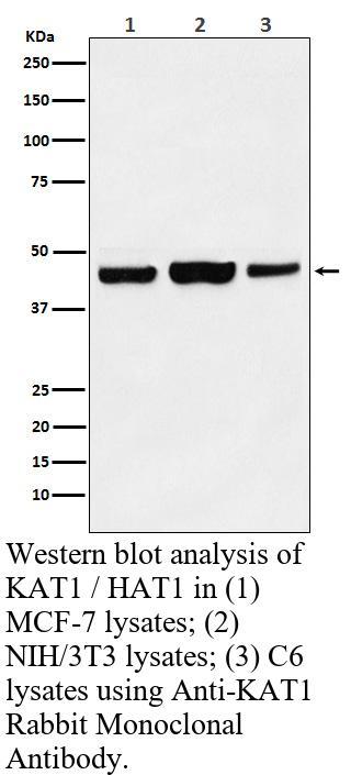 生物相关数据