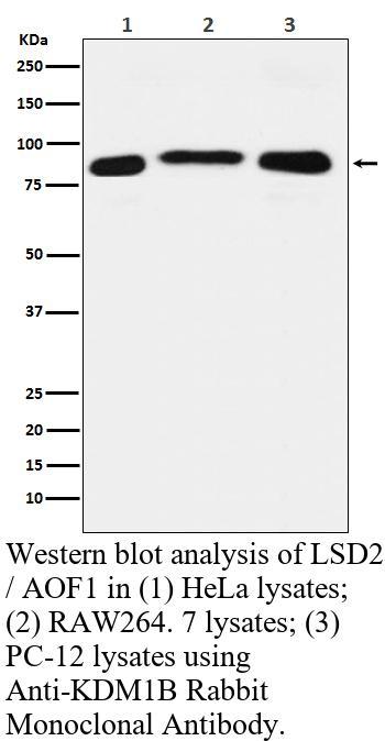 生物相关数据