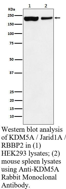 生物相关数据