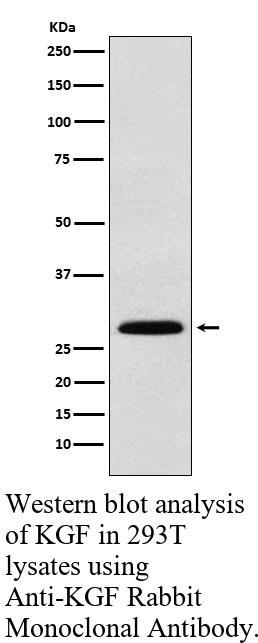 生物相关数据