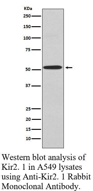 生物相关数据