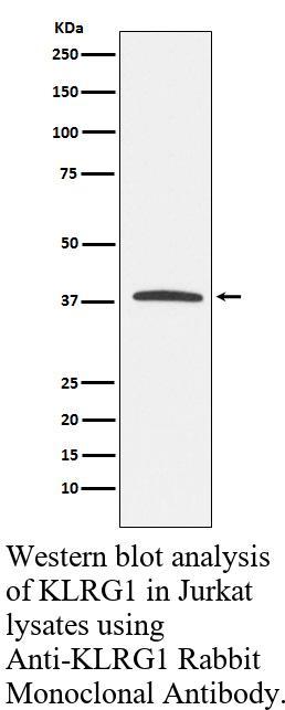 生物相关数据
